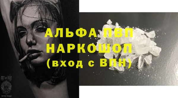 гашик Верея