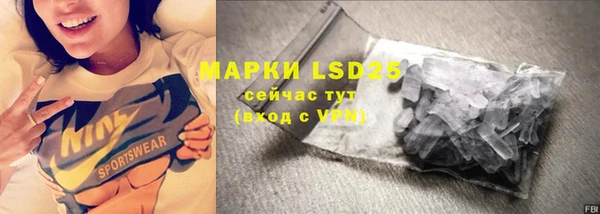 гашик Верея