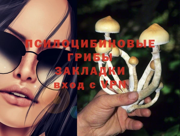 гашик Верея