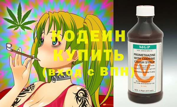 гашик Верея