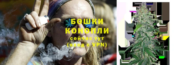 гашик Верея
