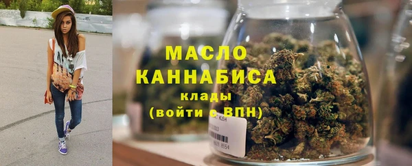 гашик Верея